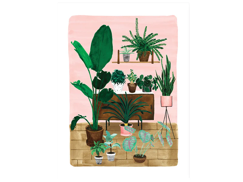Miniature 1